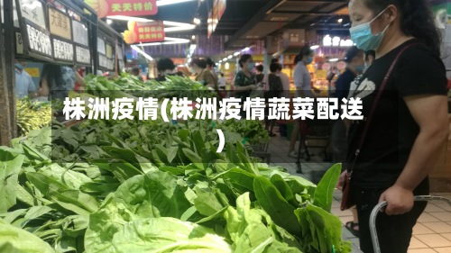 株洲疫情(株洲疫情蔬菜配送)-第3张图片