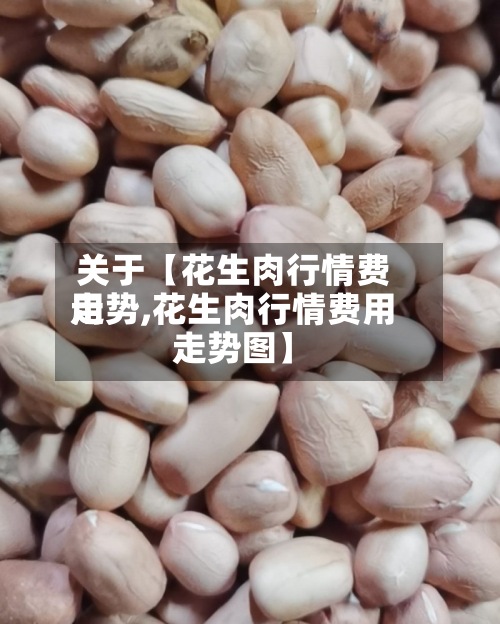 关于【花生肉行情费用走势,花生肉行情费用走势图】