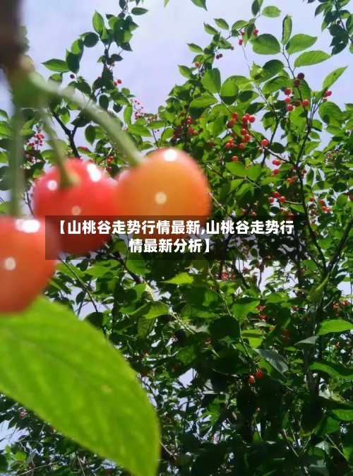 【山桃谷走势行情最新,山桃谷走势行情最新分析】-第3张图片