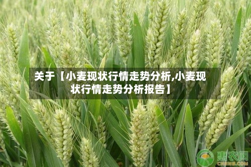 关于【小麦现状行情走势分析,小麦现状行情走势分析报告】-第2张图片