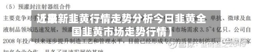 近来【最新韭黄行情走势分析今日韭黄全国韭黄市场走势行情】-第3张图片