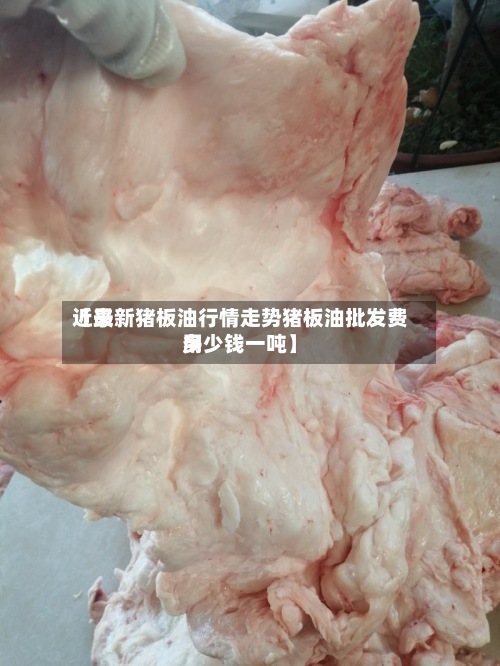 近来【最新猪板油行情走势猪板油批发费用多少钱一吨】-第3张图片