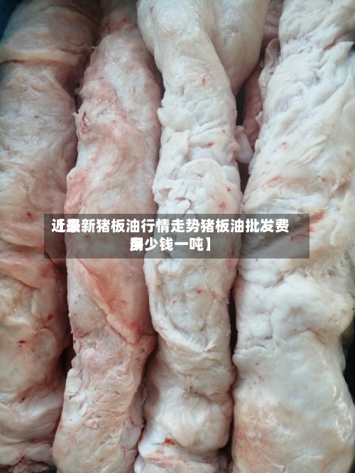 近来
【最新猪板油行情走势猪板油批发费用
多少钱一吨】
