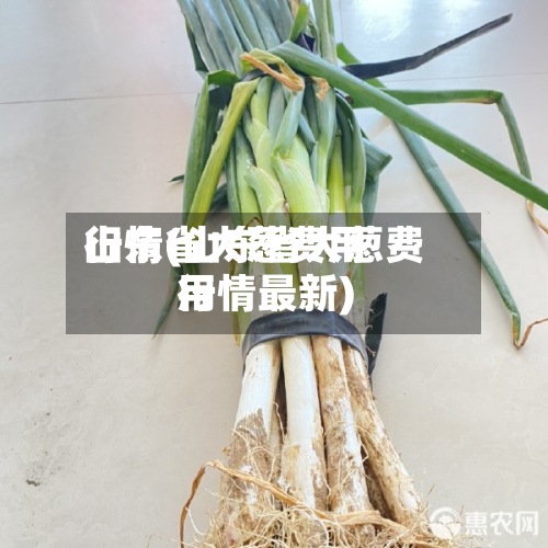山东省大葱费用行情(山东省大葱费用行情最新)