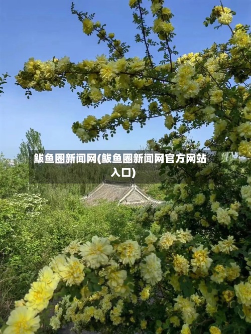 鲅鱼圈新闻网(鲅鱼圈新闻网官方网站入口)-第2张图片