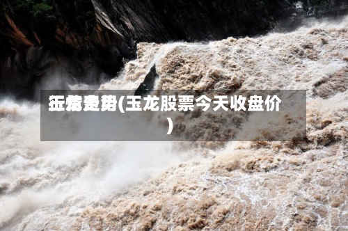 玉龙费用
行情走势(玉龙股票今天收盘价)