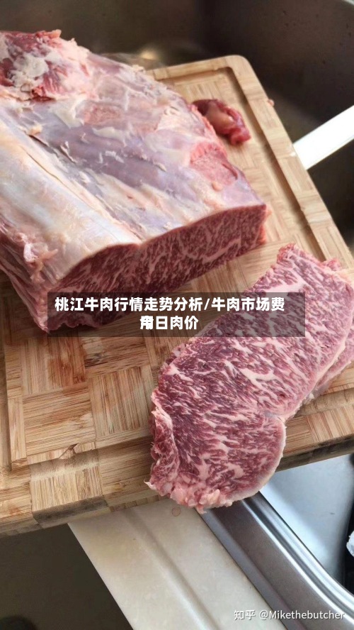 桃江牛肉行情走势分析/牛肉市场费用今日肉价
