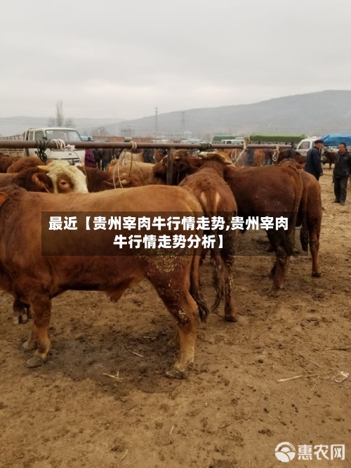 最近【贵州宰肉牛行情走势,贵州宰肉牛行情走势分析】-第3张图片