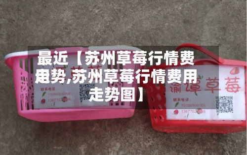 最近【苏州草莓行情费用走势,苏州草莓行情费用走势图】-第2张图片