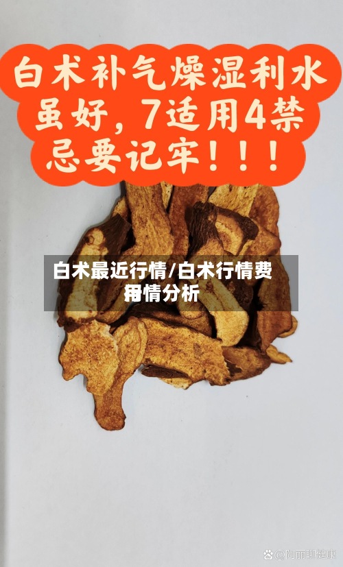 白术最近行情/白术行情费用
行情分析-第3张图片