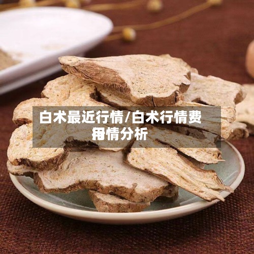 白术最近行情/白术行情费用行情分析