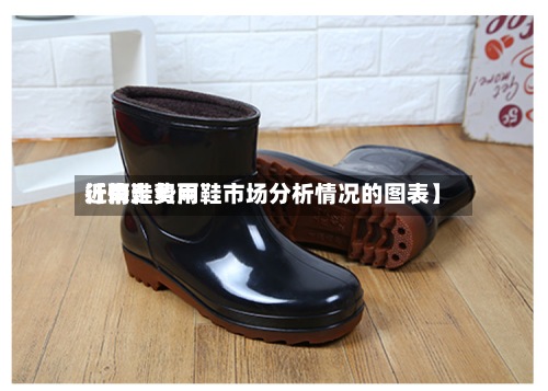 近来【雨鞋费用行情走势雨鞋市场分析情况的图表】