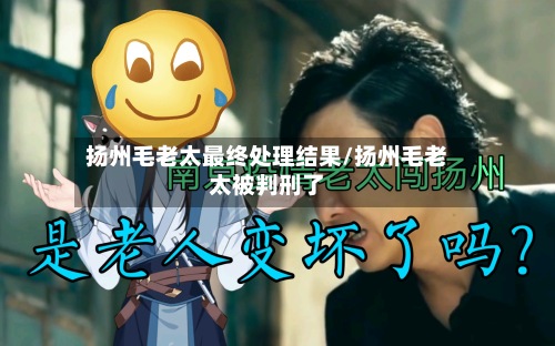 扬州毛老太最终处理结果/扬州毛老太被判刑了