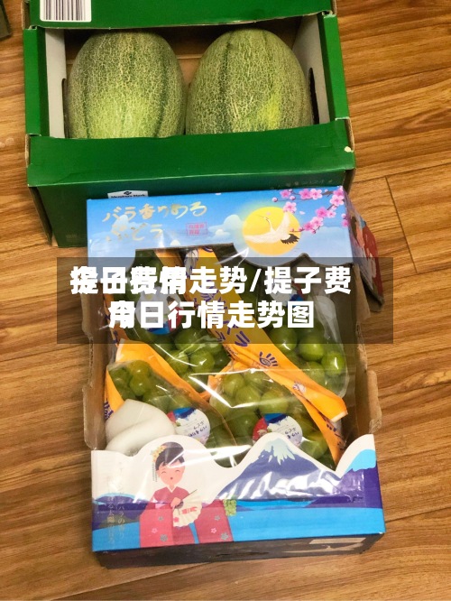 提子费用今日行情走势/提子费用今日行情走势图