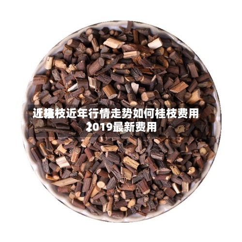 近来【桂枝近年行情走势如何桂枝费用2019最新费用】-第2张图片