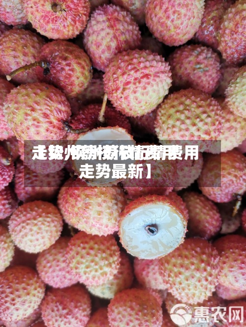 【钦州荔枝行情费用
走势,钦州荔枝行情费用
走势最新】