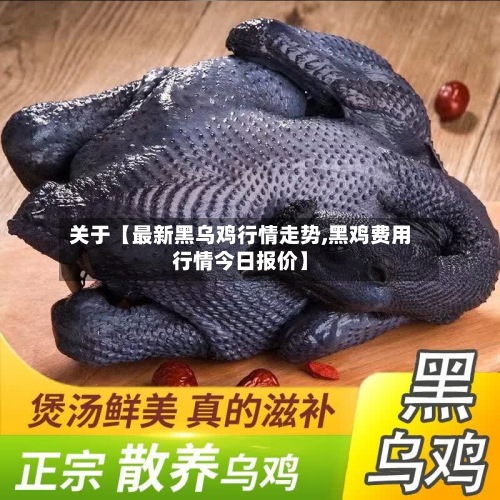 关于【最新黑乌鸡行情走势,黑鸡费用
行情今日报价】