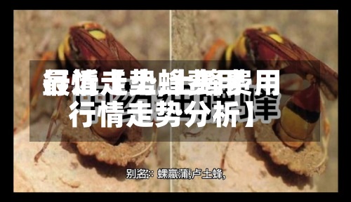 最近【土蜂费用
行情走势,土蜂费用
行情走势分析】
