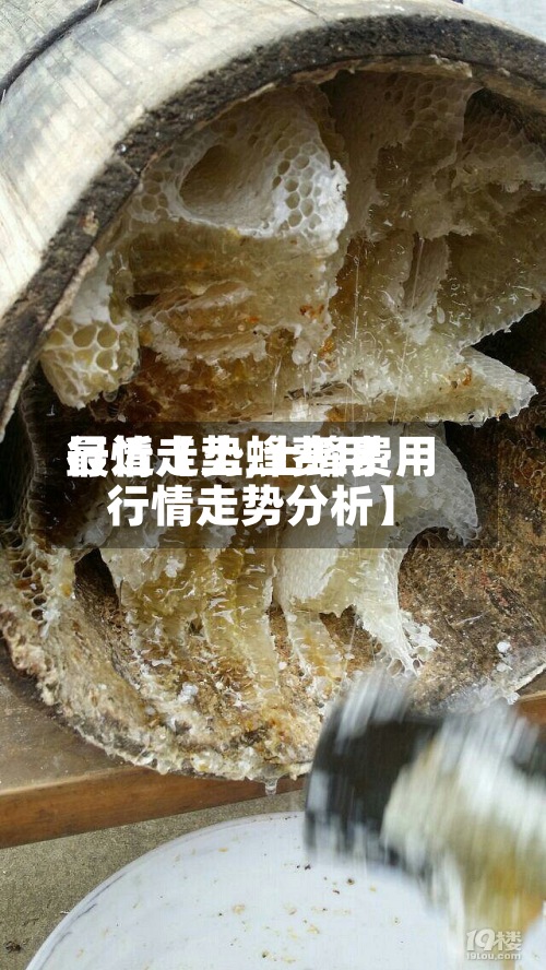 最近【土蜂费用
行情走势,土蜂费用
行情走势分析】-第2张图片