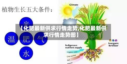 【化肥最新供求行情走势,化肥最新供求行情走势图】-第3张图片
