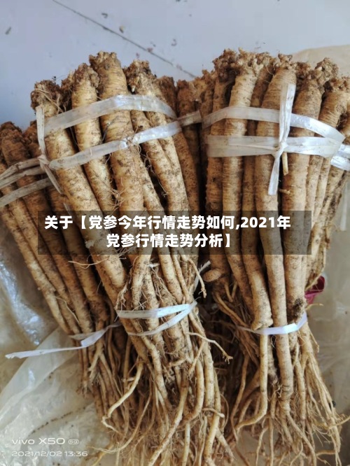 关于【党参今年行情走势如何,2021年党参行情走势分析】