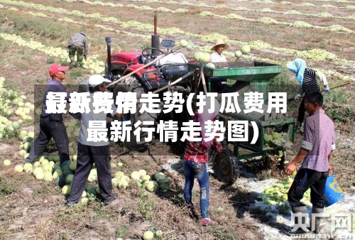 打瓜费用最新行情走势(打瓜费用最新行情走势图)