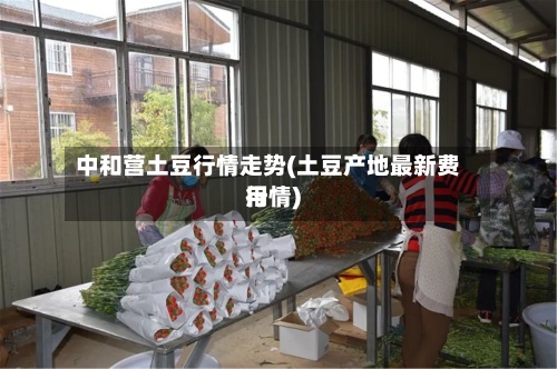 中和营土豆行情走势(土豆产地最新费用
行情)-第2张图片