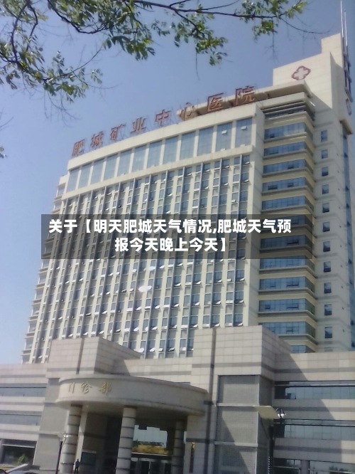 关于【明天肥城天气情况,肥城天气预报今天晚上今天】-第3张图片