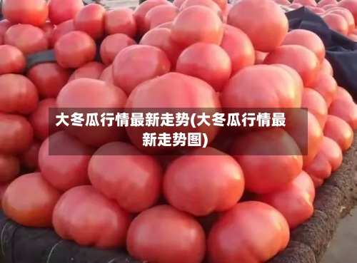 大冬瓜行情最新走势(大冬瓜行情最新走势图)-第2张图片