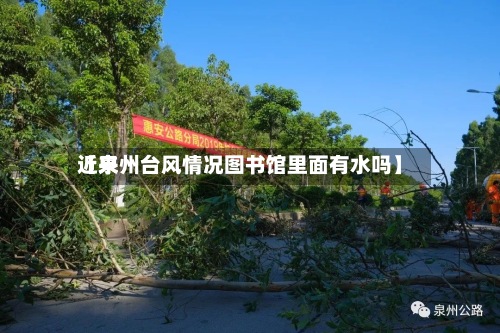 近来
【泉州台风情况图书馆里面有水吗】-第2张图片