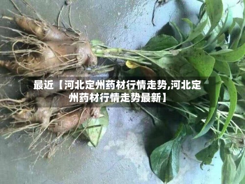 最近【河北定州药材行情走势,河北定州药材行情走势最新】-第2张图片