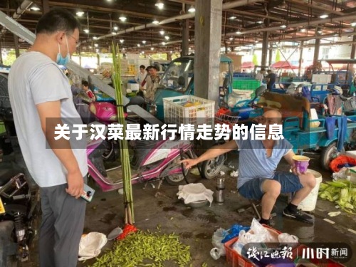 关于汉菜最新行情走势的信息-第3张图片