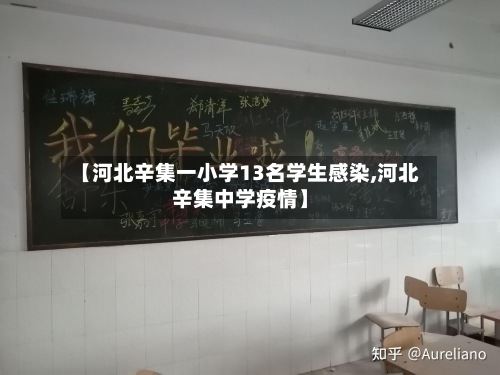 【河北辛集一小学13名学生感染,河北辛集中学疫情】-第2张图片