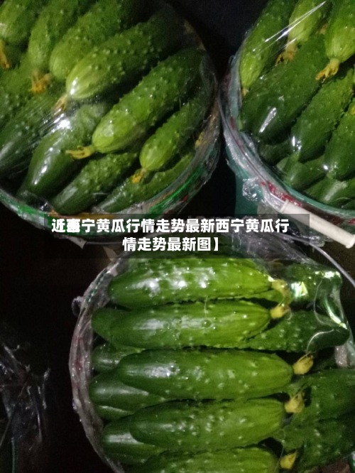 近来【西宁黄瓜行情走势最新西宁黄瓜行情走势最新图】-第2张图片
