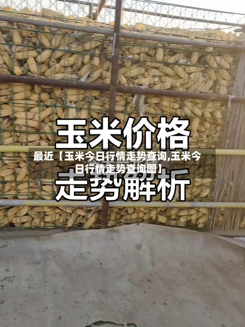 最近【玉米今日行情走势查询,玉米今日行情走势查询图】-第2张图片