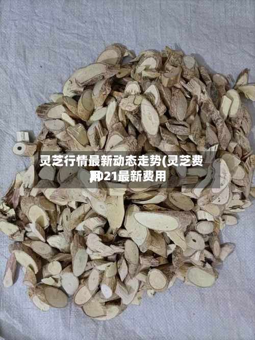 灵芝行情最新动态走势(灵芝费用
2021最新费用
)-第2张图片