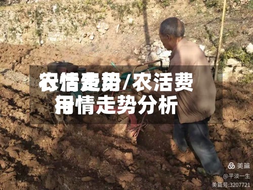 农活费用
行情走势/农活费用
行情走势分析-第3张图片