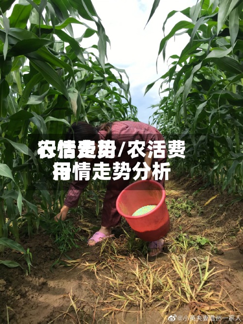 农活费用
行情走势/农活费用
行情走势分析-第2张图片