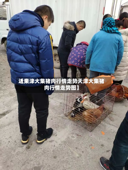 近来
【天津大集猪肉行情走势天津大集猪肉行情走势图】-第2张图片