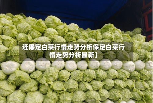近来【保定白菜行情走势分析保定白菜行情走势分析最新】