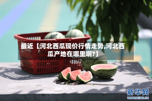 最近【河北西瓜现价行情走势,河北西瓜产地在哪里啊?】-第3张图片