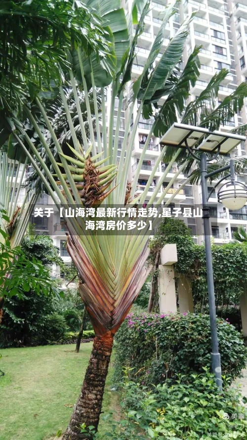 关于【山海湾最新行情走势,星子县山海湾房价多少】-第3张图片