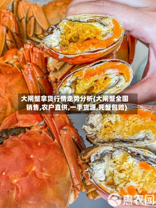 大闸蟹拿货行情走势分析(大闸蟹全国销售,农户直供,一手货源,死蟹包赔)-第2张图片