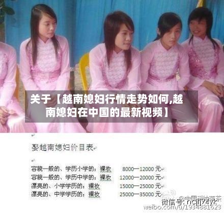关于【越南媳妇行情走势如何,越南媳妇在中国的最新视频】-第3张图片