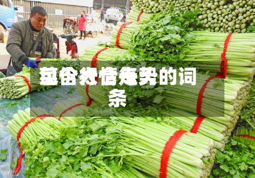 包含太仓每天菜价行情走势的词条-第2张图片