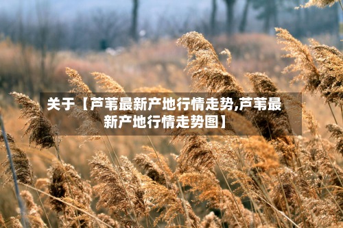 关于【芦苇最新产地行情走势,芦苇最新产地行情走势图】