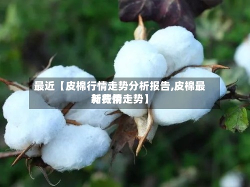 最近【皮棉行情走势分析报告,皮棉最新费用与行情走势】-第2张图片