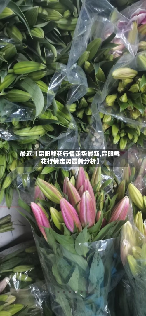 最近【昆阳鲜花行情走势最新,昆阳鲜花行情走势最新分析】