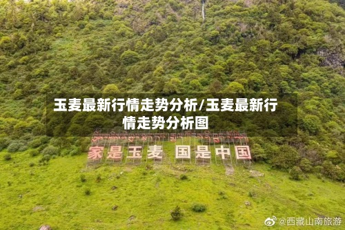 玉麦最新行情走势分析/玉麦最新行情走势分析图