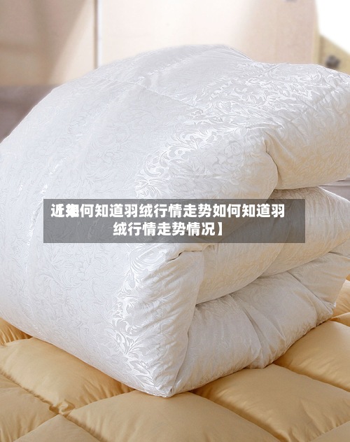 近来
【如何知道羽绒行情走势如何知道羽绒行情走势情况】-第3张图片